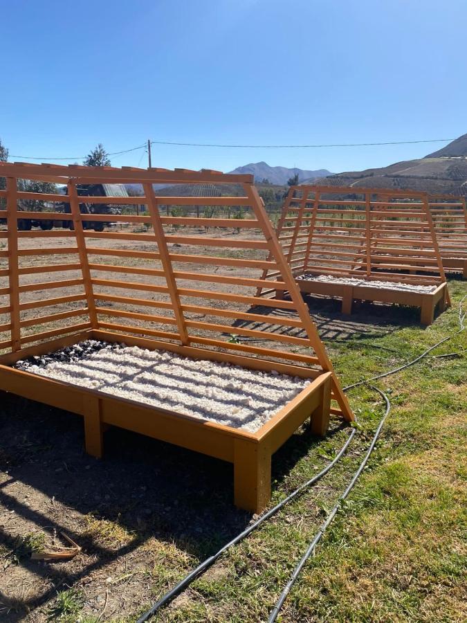 Cabanas Vicuna Cielo De Peralillo - Valle De Elqui Eksteriør bilde